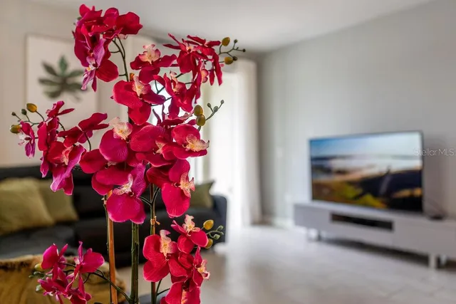 $3,200 | 4828 Dedication Street, Kissimmee, FL 34746