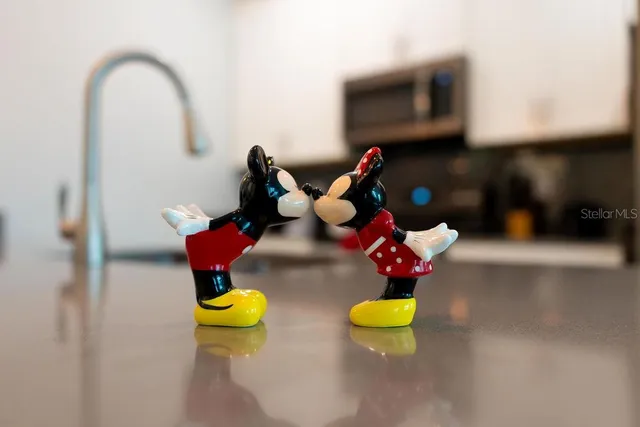 $3,200 | 4828 Dedication Street, Kissimmee, FL 34746