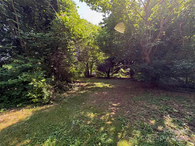 a view of a forest with trees