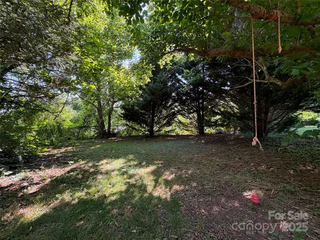 a view of backyard with tree