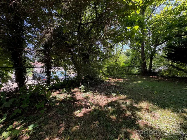 a view of a tree in a yard