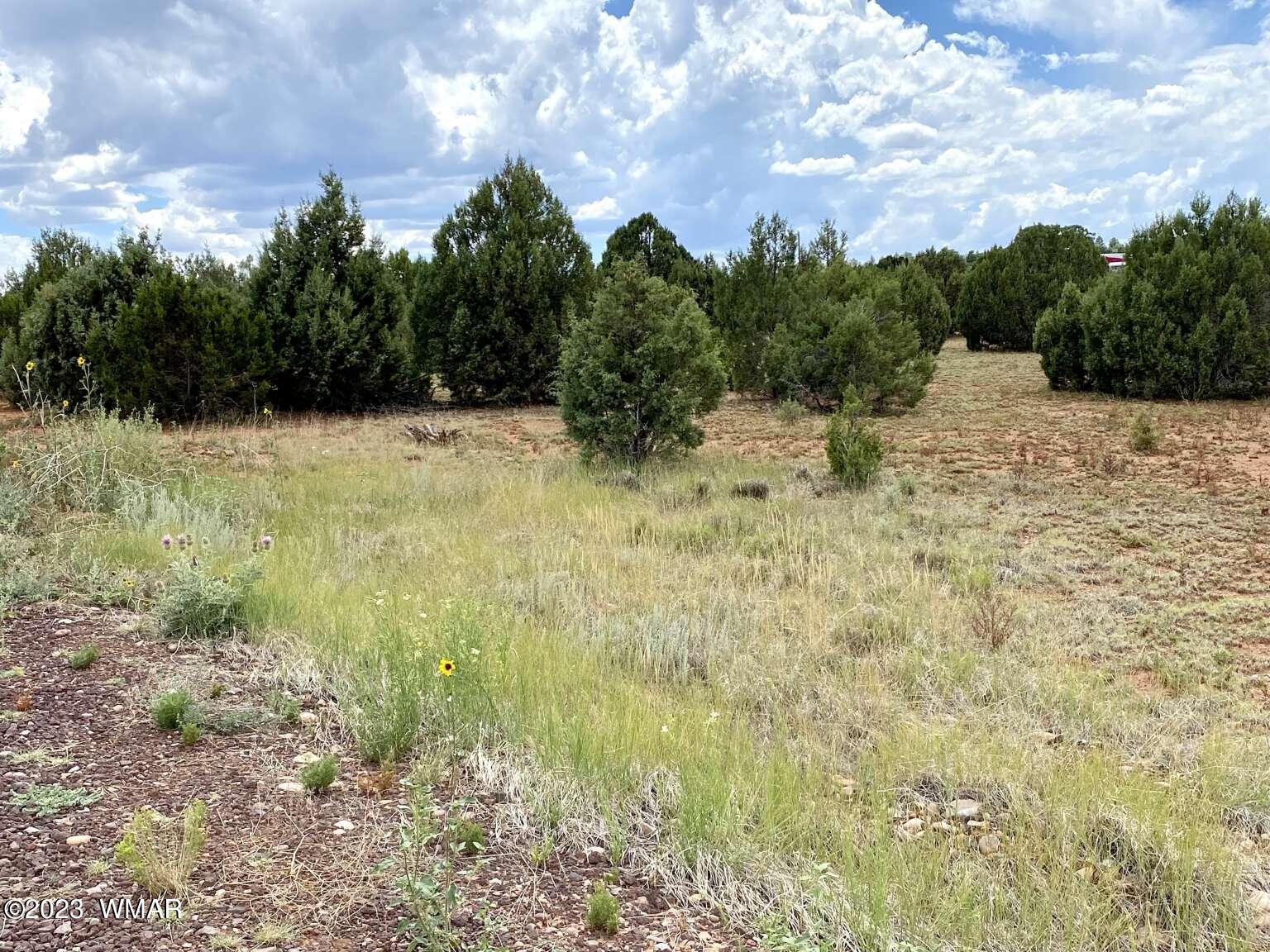 4805 Sawmill Road Clay Springs, AZ 85923 - Photo 1 of 6 Gallery Image 1