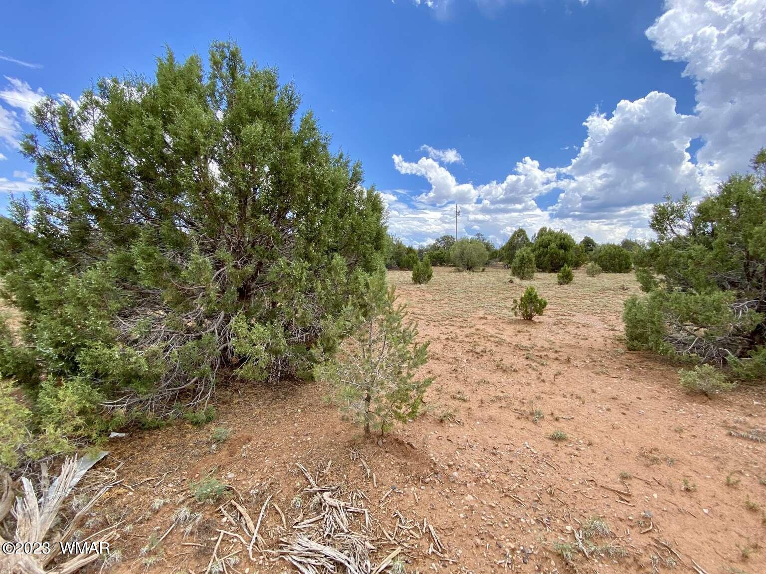 4805 Sawmill Road Clay Springs, AZ 85923 - Photo 3 of 6 Gallery Image 3
