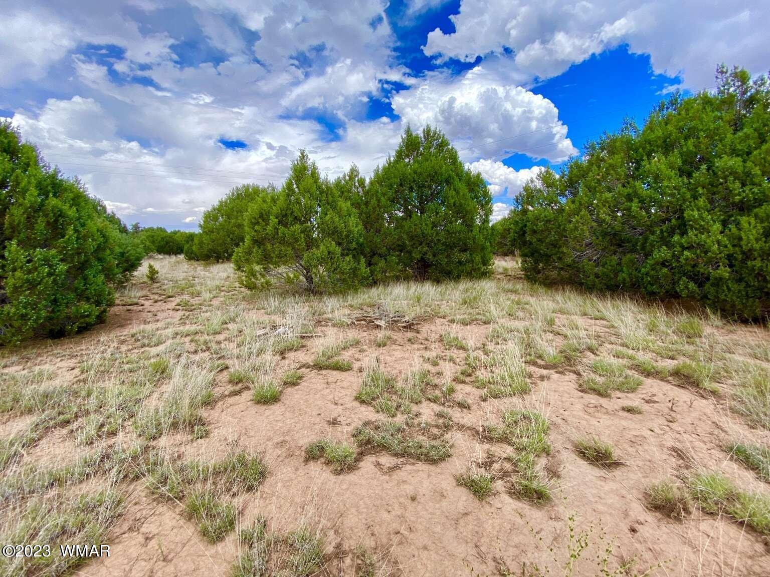 4805 Sawmill Road Clay Springs, AZ 85923 - Photo 4 of 6 Gallery Image 4