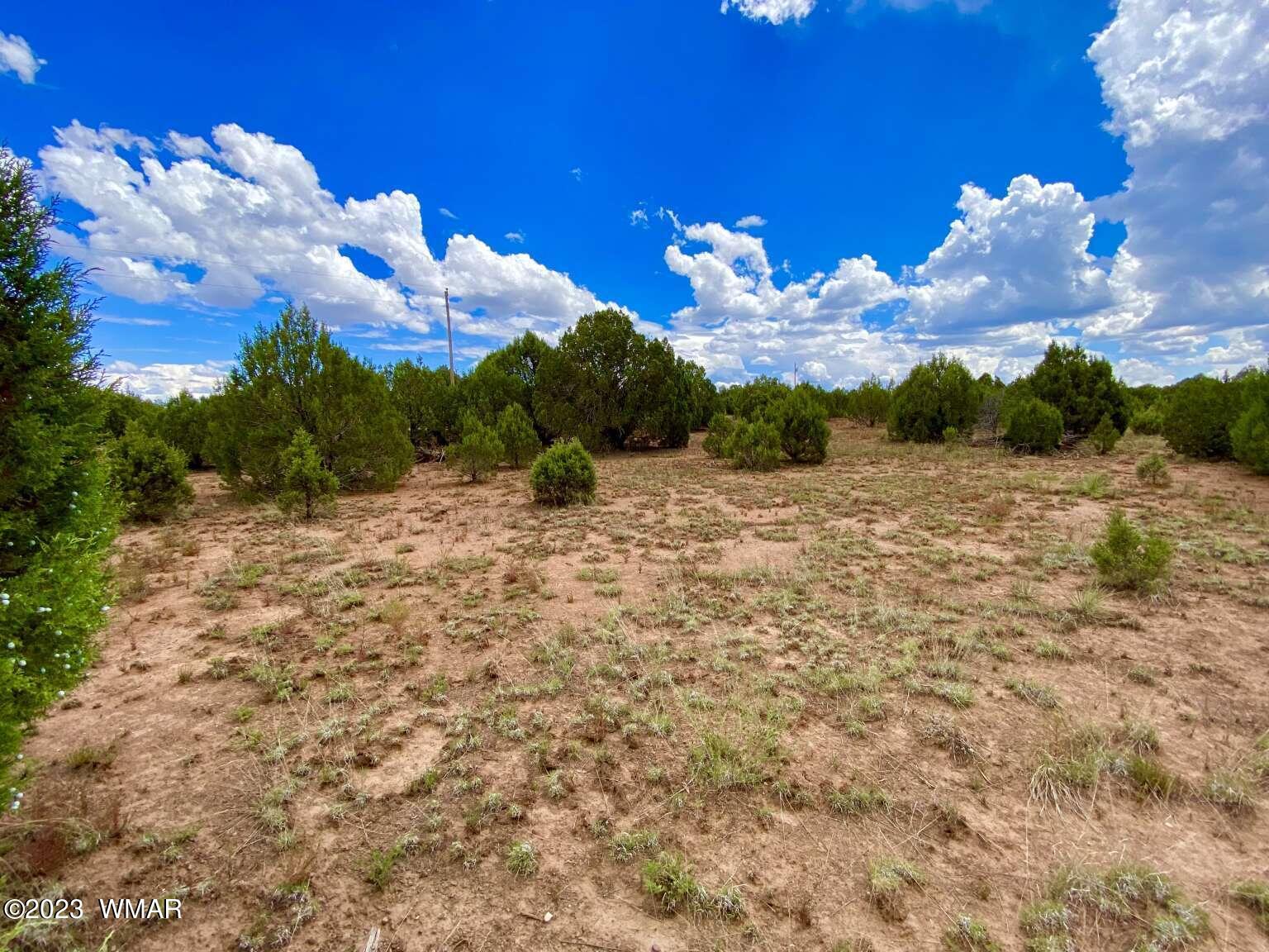 4805 Sawmill Road Clay Springs, AZ 85923 - Photo 5 of 6 Gallery Image 5