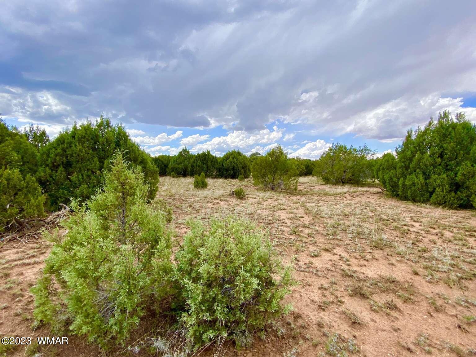 4805 Sawmill Road Clay Springs, AZ 85923 - Photo 6 of 6 Gallery Image 6