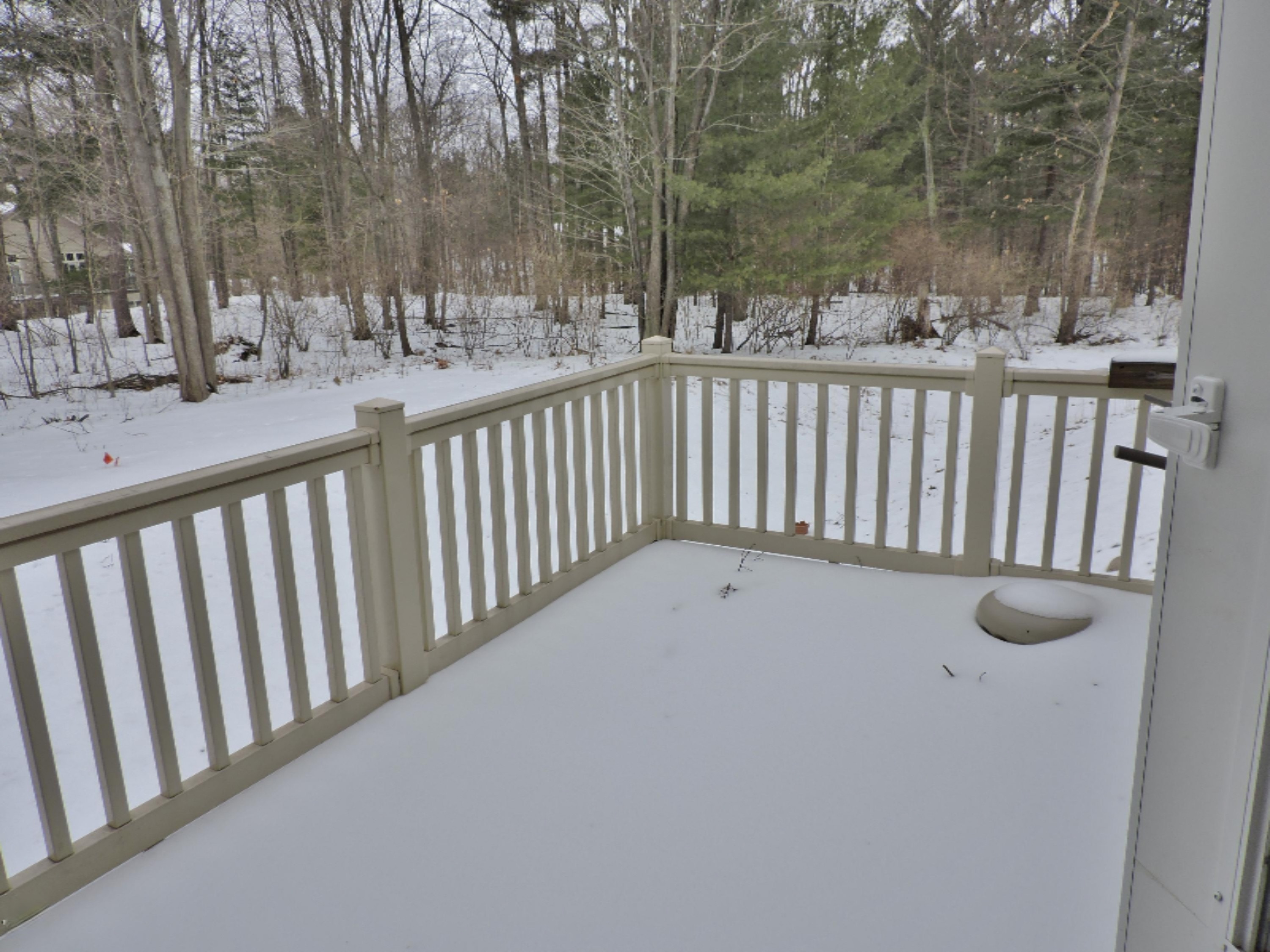 14219 Rivers Way Big Rapids, MI 49307 - Photo 10 of 25 DSCN2912
