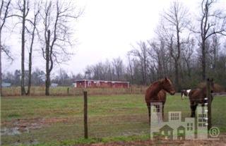 983 Watha Road Watha, NC 28478 - Photo 8 of 9 Additional Photo