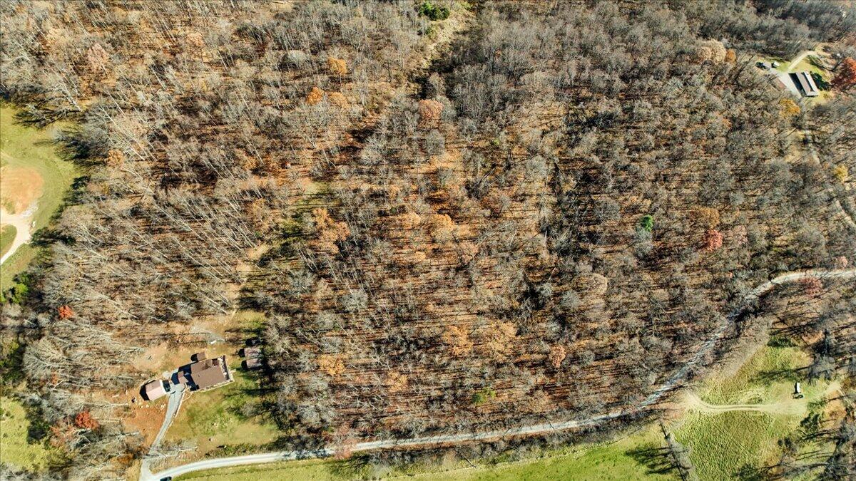 0 Dry Branch Road Pembroke, VA 24136 - Photo 11 of 29