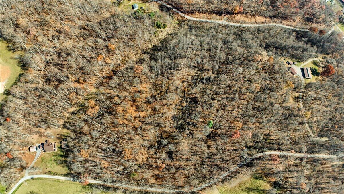 0 Dry Branch Road Pembroke, VA 24136 - Photo 12 of 29 a view of a yard