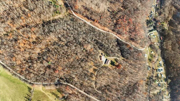 a view of a dry yard
