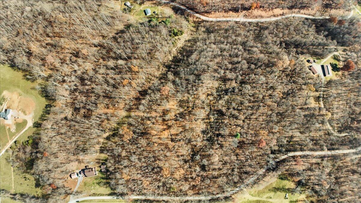 0 Dry Branch Road Pembroke, VA 24136 - Photo 19 of 29