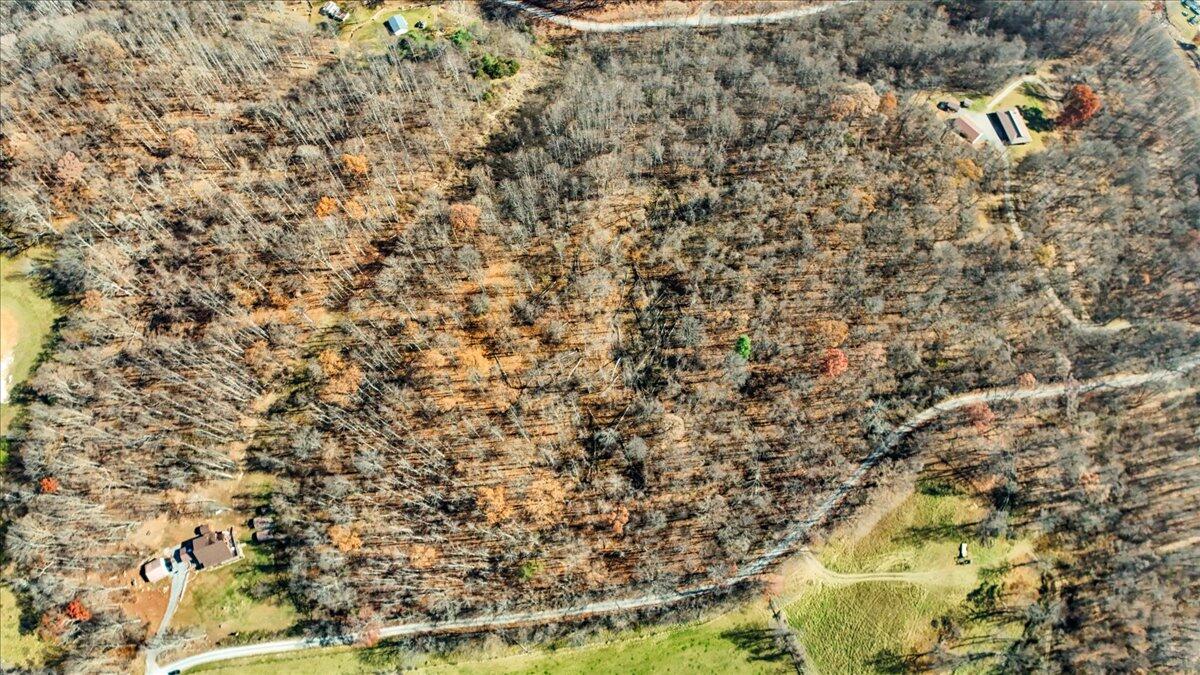 0 Dry Branch Road Pembroke, VA 24136 - Photo 20 of 29