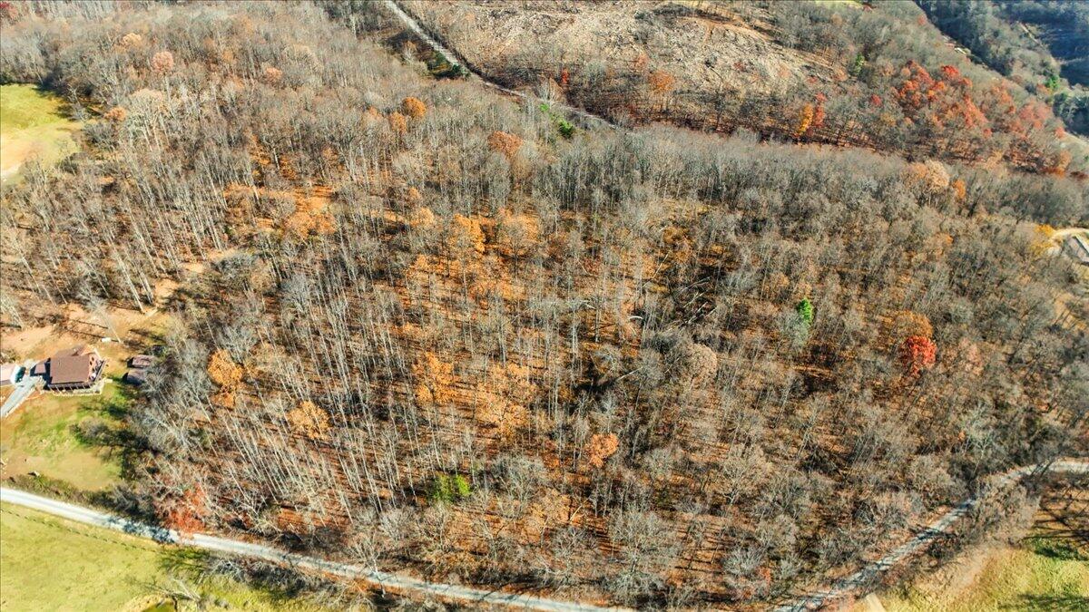 0 Dry Branch Road Pembroke, VA 24136 - Photo 22 of 29