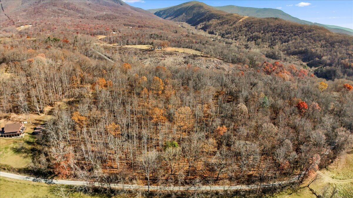 0 Dry Branch Road Pembroke, VA 24136 - Photo 23 of 29 a view of a dry yard