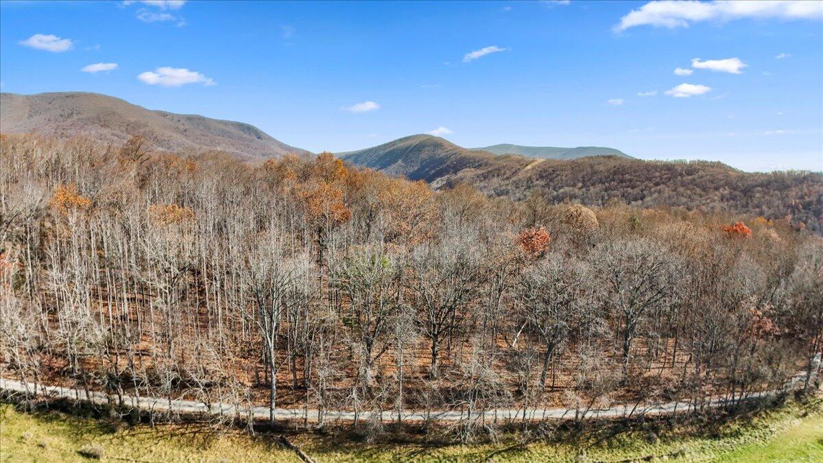 0 Dry Branch Road Pembroke, VA 24136 - Photo 25 of 29 a view of mountain