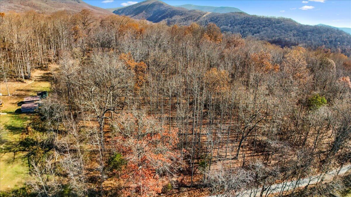0 Dry Branch Road Pembroke, VA 24136 - Photo 27 of 29 a view of a dry yard with mountains and green space