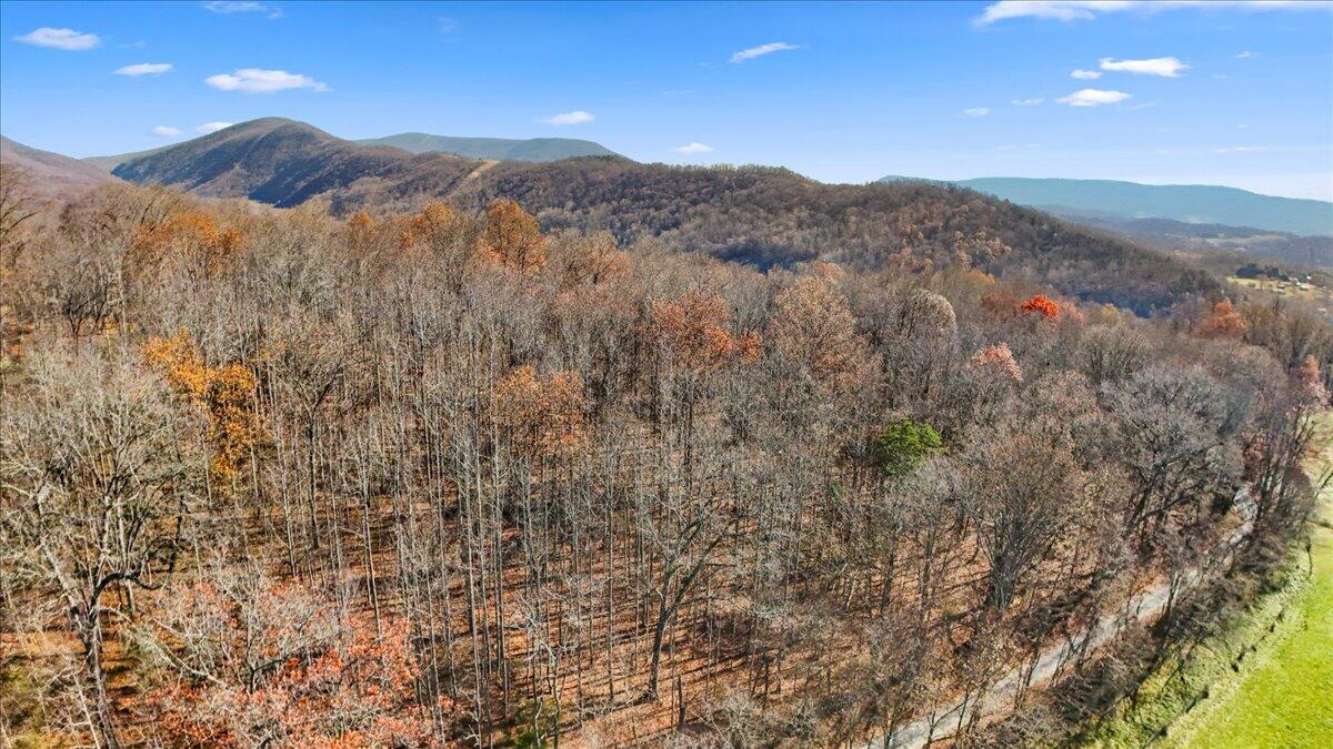 0 Dry Branch Road Pembroke, VA 24136 - Photo 28 of 29 a view of mountains and valleys