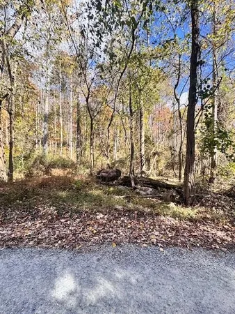 a view of a yard with trees