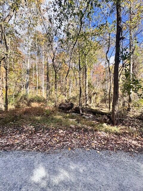 0 Dry Branch Road Pembroke, VA 24136 - Photo 3 of 29 a view of a yard with trees