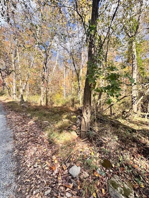 0 Dry Branch Road Pembroke, VA 24136 - Photo 5 of 29 a view of yard