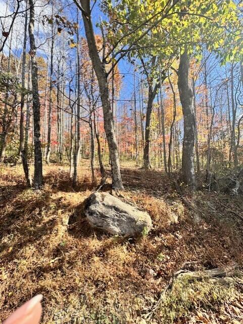 0 Dry Branch Road Pembroke, VA 24136 - Photo 6 of 29 a view of yard