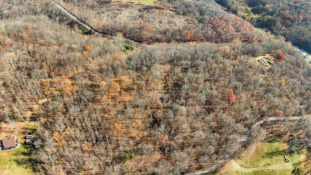 0 Dry Branch Road Pembroke, VA 24136 - Photo 8 of 29