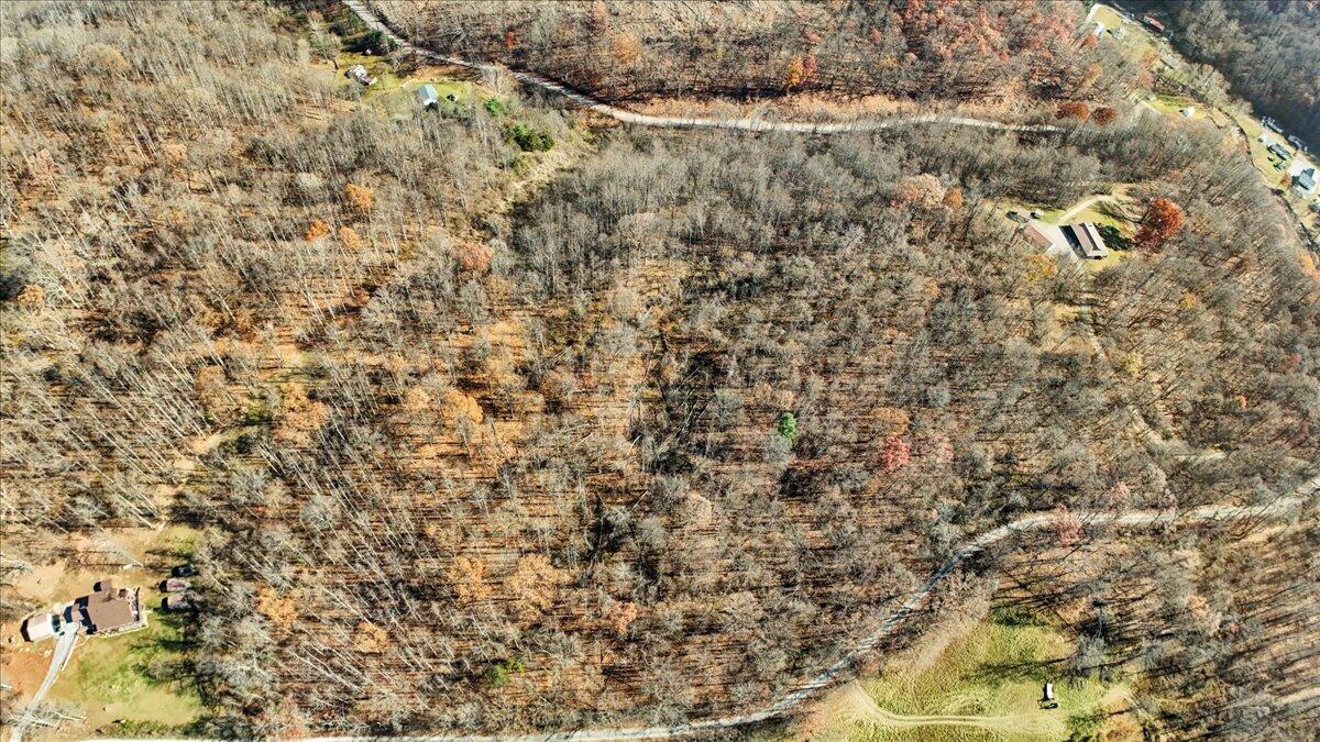 0 Dry Branch Road Pembroke, VA 24136 - Photo 10 of 29 a close up of a wall