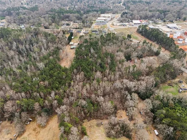 a view of a forest with a tree