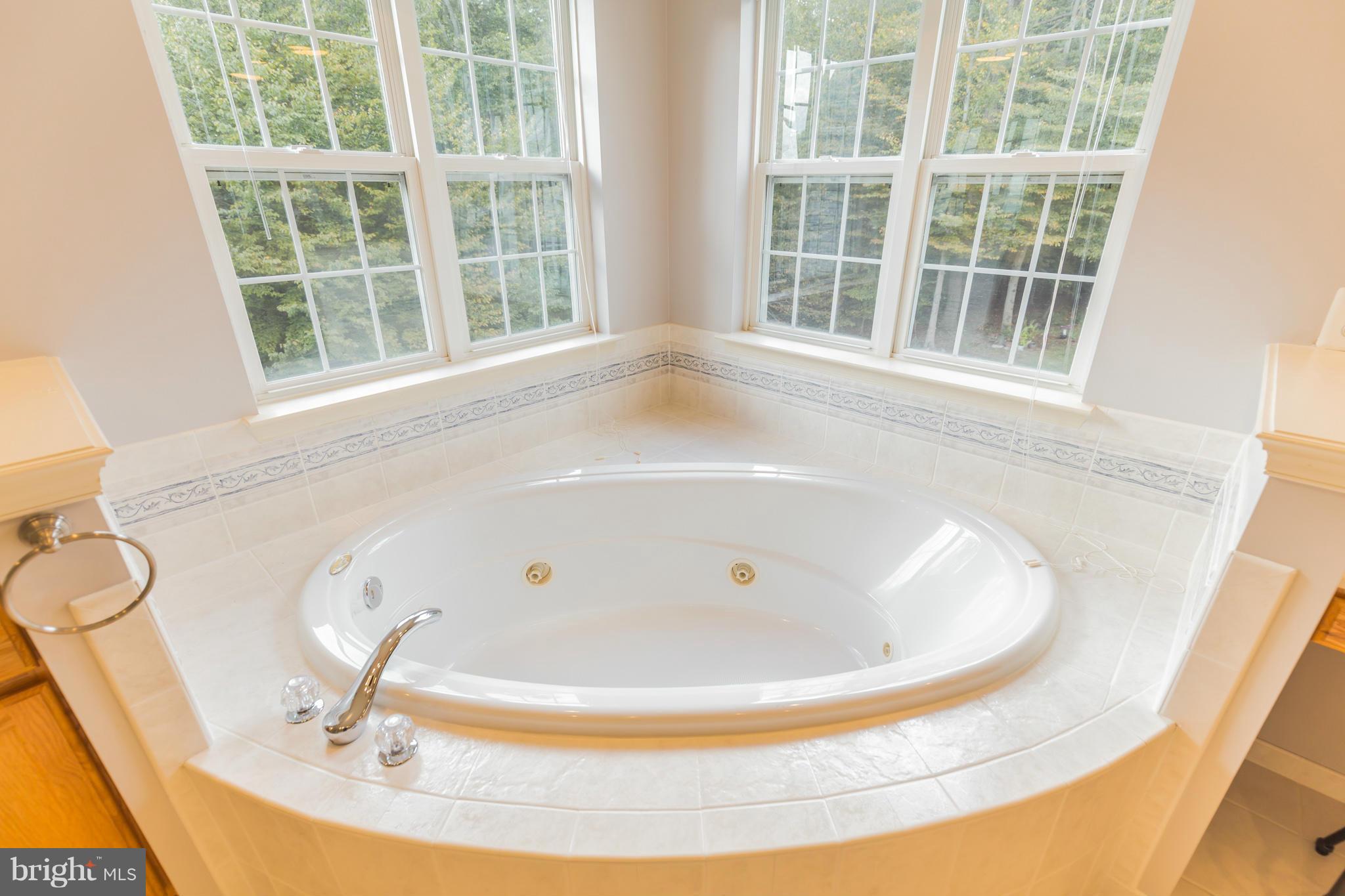 14902 Ridge Farm Court Bowie, MD 20715 - Photo 25 of 30 Bath (Master)