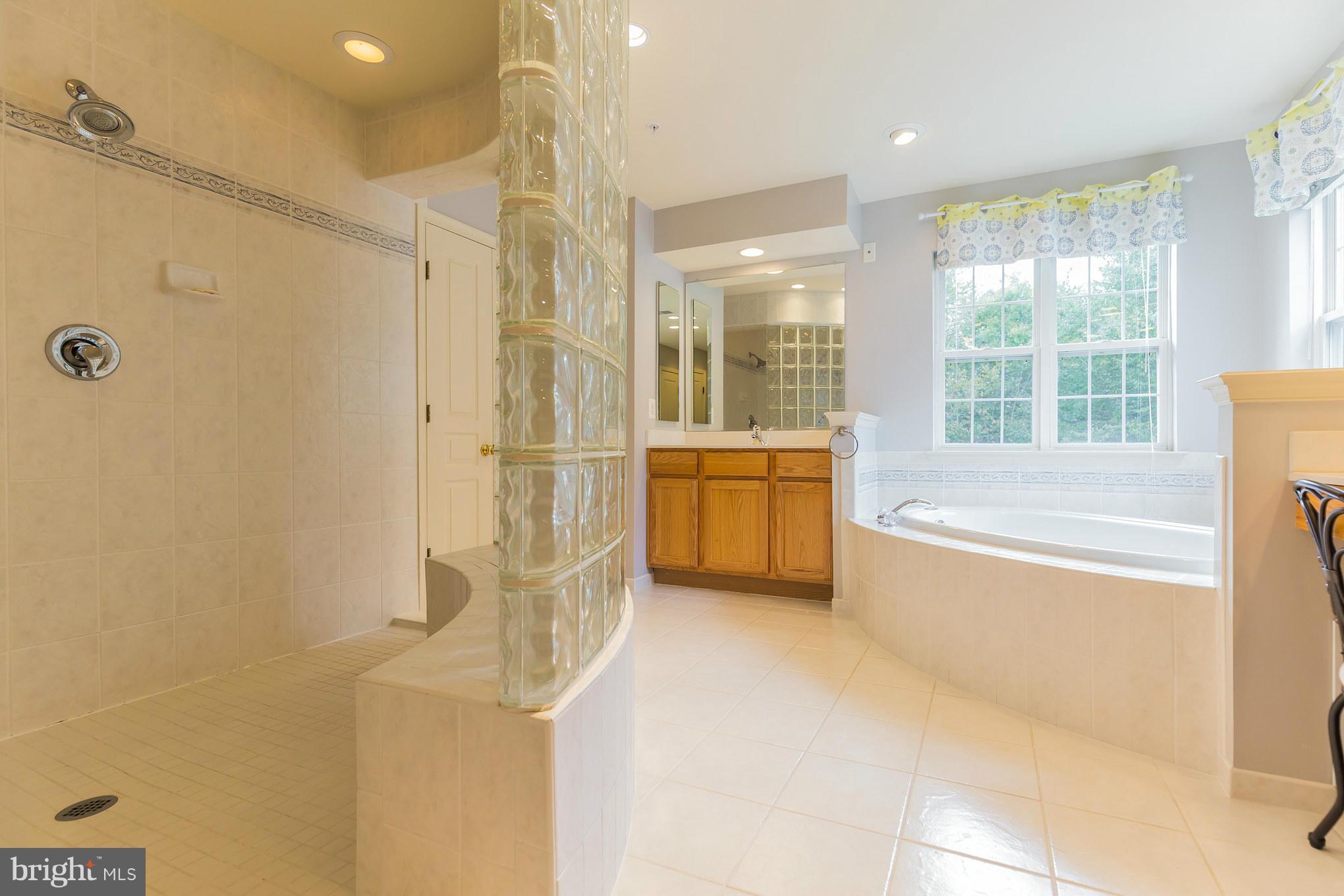 14902 Ridge Farm Court Bowie, MD 20715 - Photo 26 of 30 Spa Master Bath