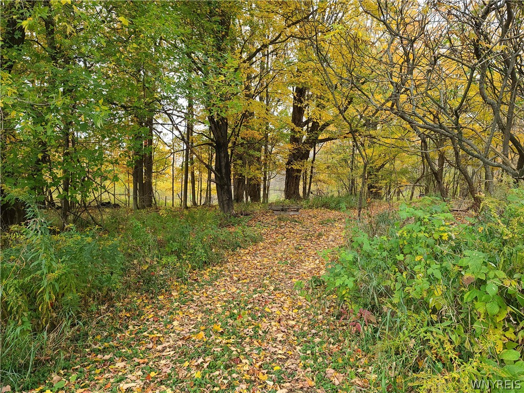 0 Eddy Road Little Valley, NY 14755 - Photo 1 of 1 Gallery Image 1