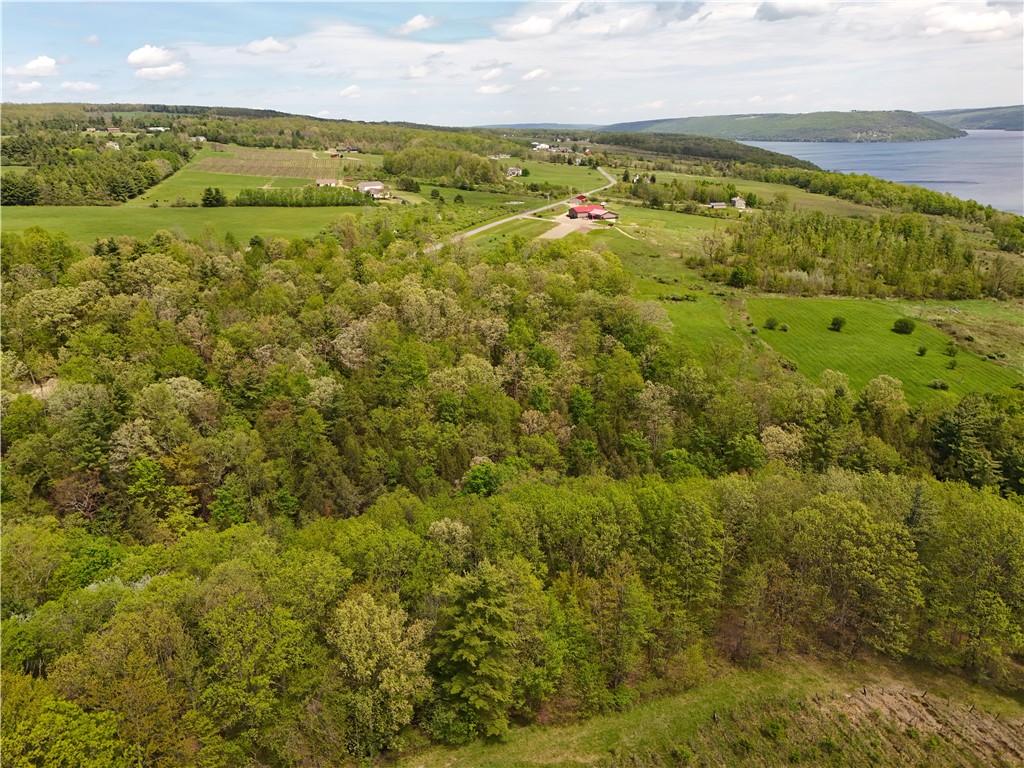 0 Middle Road Hammondsport, NY 14840 - Photo 20 of 20