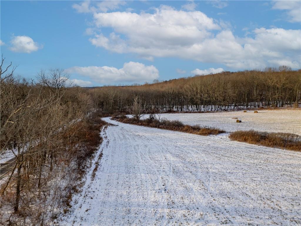 0 Grant City Road Portersville, PA 16051 - Photo 4 of 12 a view of swimming pool and mountain in back