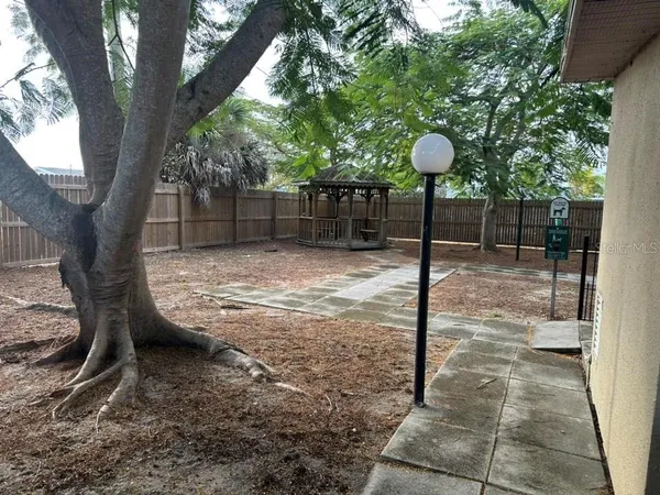 a view of a backyard