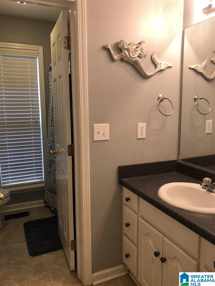 10915 Middle Coaling Road Cottondale, AL 35453 - Photo 20 of 42