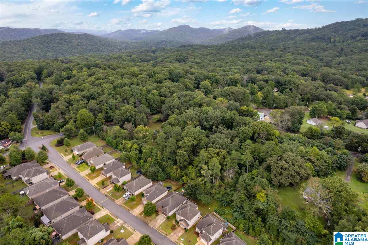 5525 Dewey Heights Road Pinson, AL 35126 - Photo 38 of 40