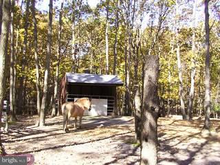 80 Bozarthtown Road Tabernacle, NJ 08088 - Photo 6 of 6