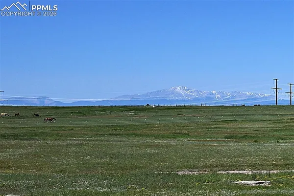 a view of a field with an ocean