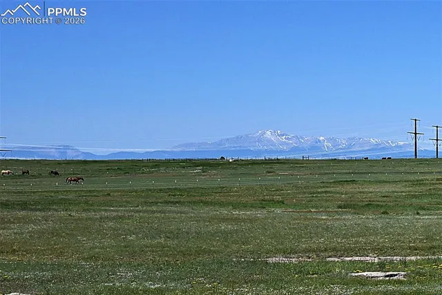 a view of a field with an ocean