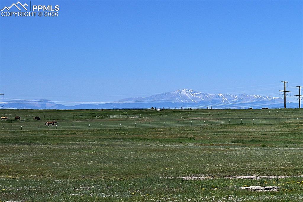 25995 Cave Spg Trail Elbert, CO 80106 - Photo 29 of 50 a view of a field with an ocean