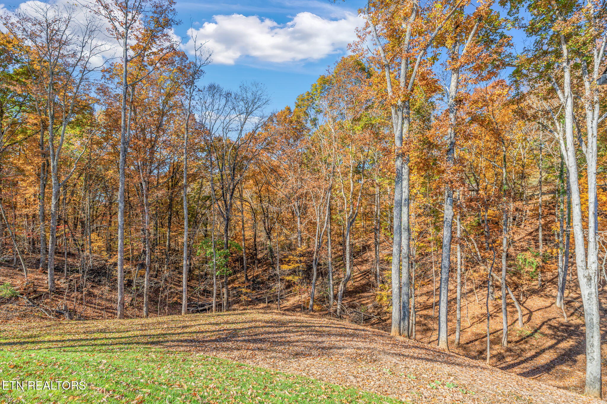 788 Blackberry Ridge Road Lenoir City, TN 37772 - Photo 42 of 43 21-web-or-mls-788 Blackberry Ridge Drive