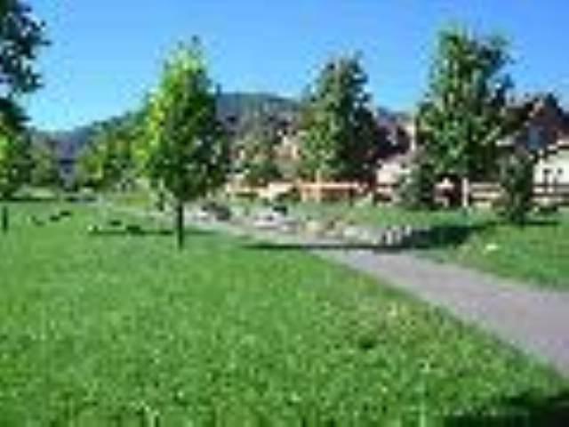 a view of a green field with lots of bushes