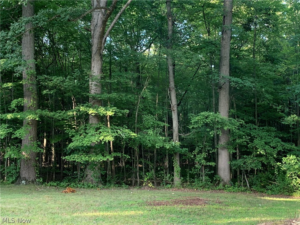 3510 Austintown Warren Road Mineral Ridge, OH 44440 - Photo 15 of 15 Gallery Image 15