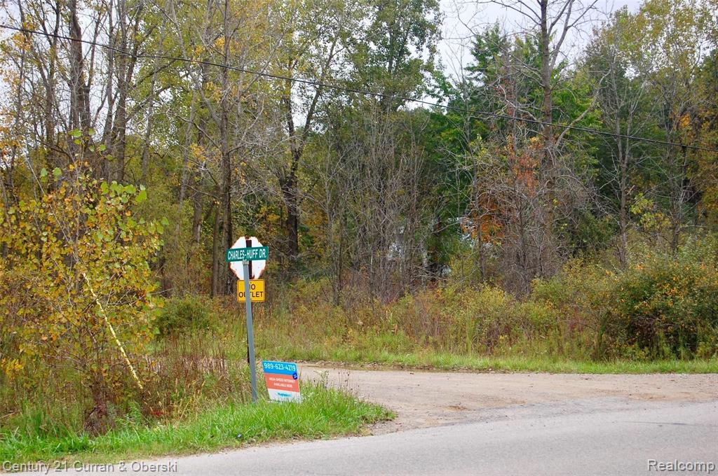 Vacant North Latson Road Howell, MI 48855 - Photo 21 of 33
