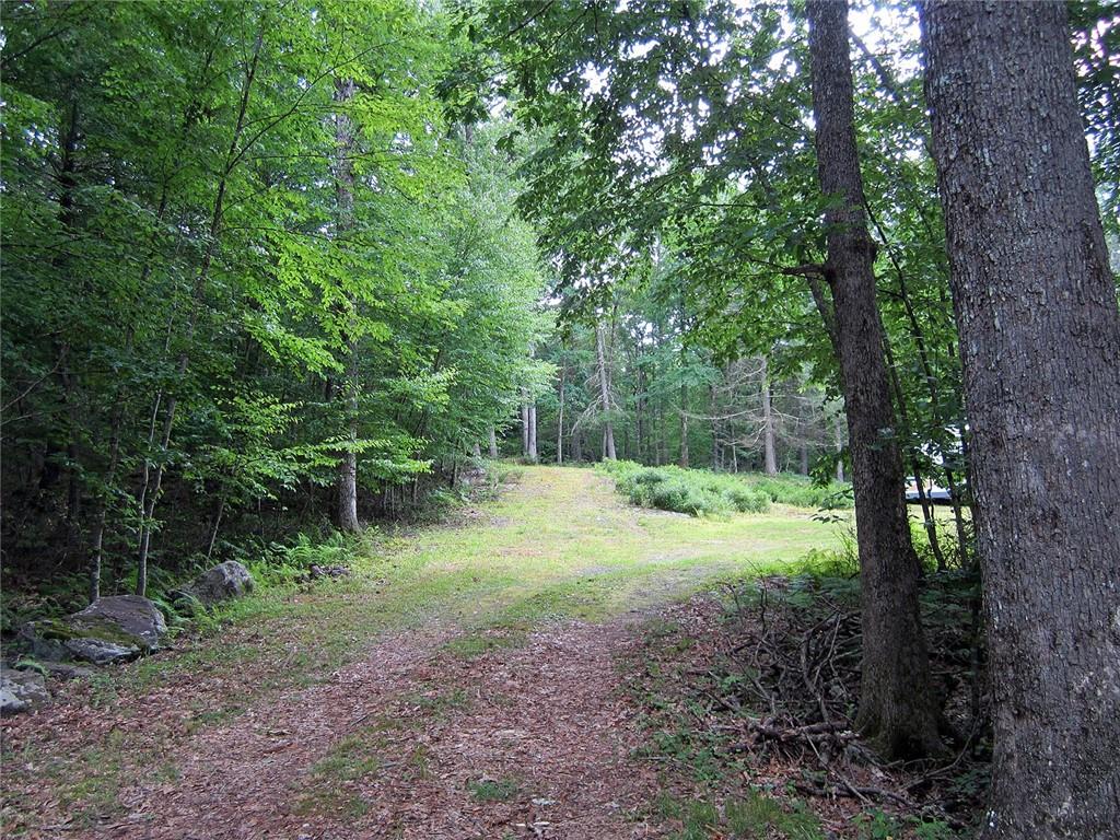 Lot 81 Perry Pond Road Narrowsburg, NY 12764 - Photo 1 of 1 Gallery Image 1