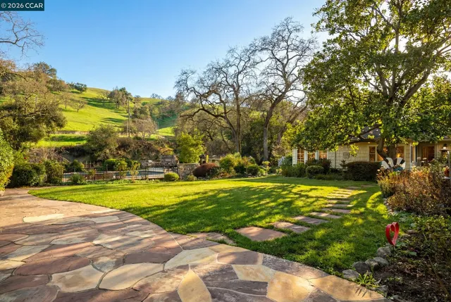 a view of lawn chairs and large trees