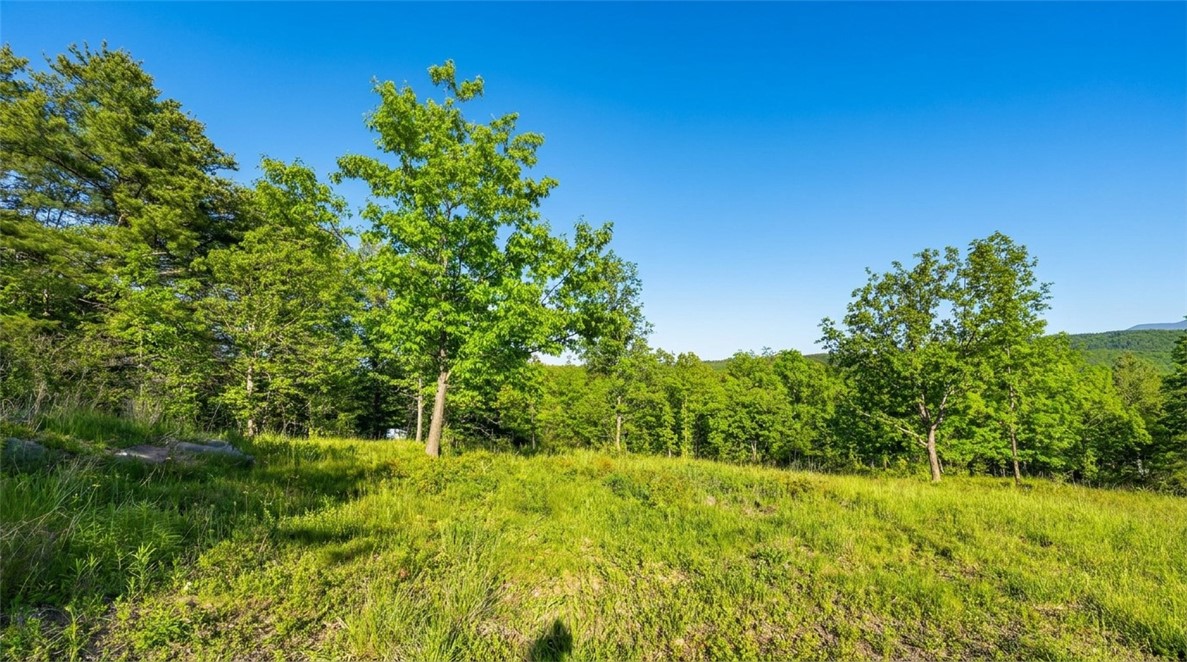 10.10 Cheese Hill Road Preston Hollow, NY 12469 - Photo 13 of 46