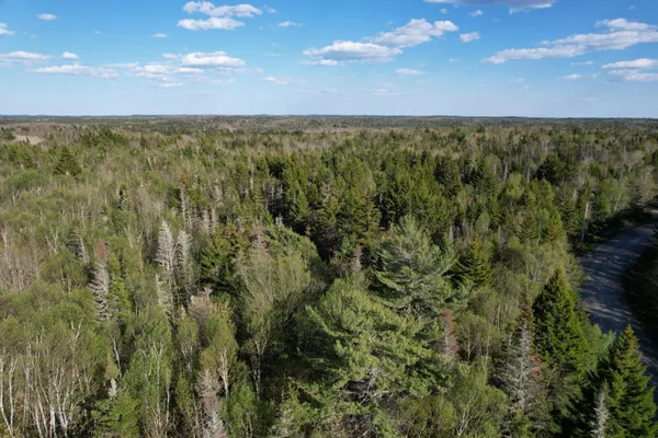 $54,900 | Lot 009 Off Of Reynolds Brook Road, Whiting, ME 04691
