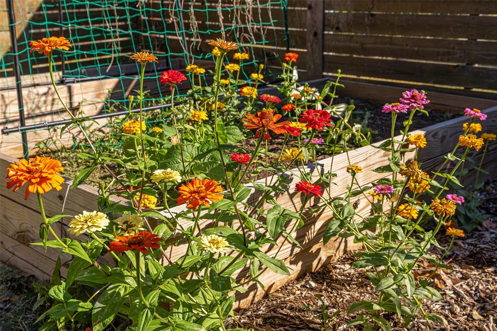 812 Sherbrook Drive Richardson, TX 75080 - Photo 27 of 28